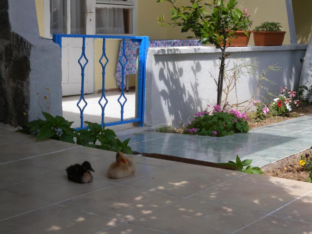Eysan Pansiyon Akçay Buitenkant foto
